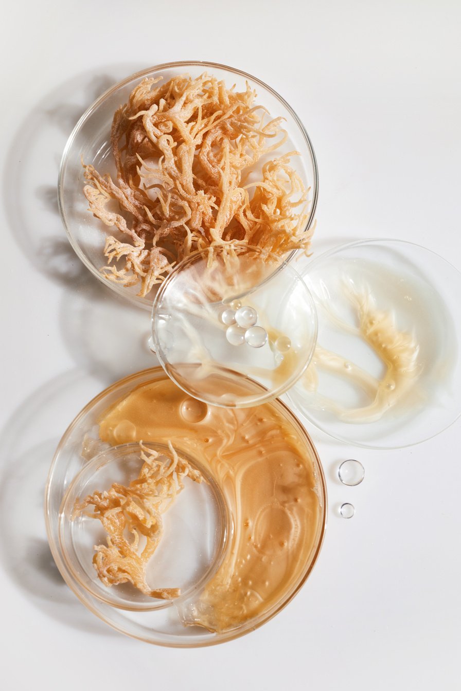 Abstract Cosmetic Laboratory. Nature Cosmetics with Sea Moss. Chemical Laboratory Research.